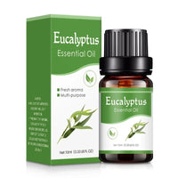 Eukalyptus